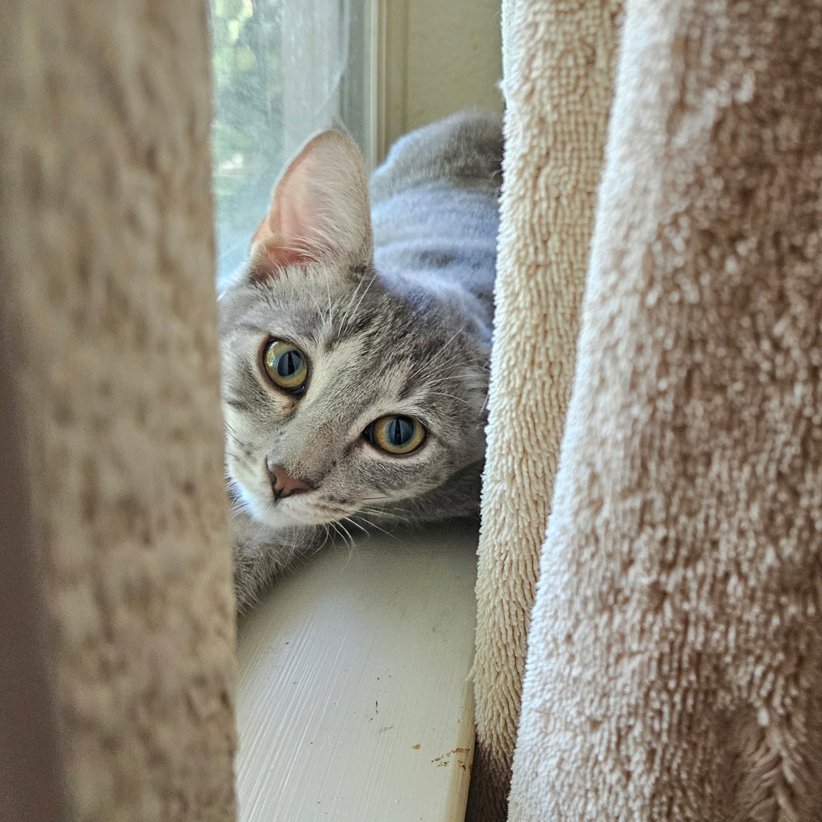 Ella ( Monica )