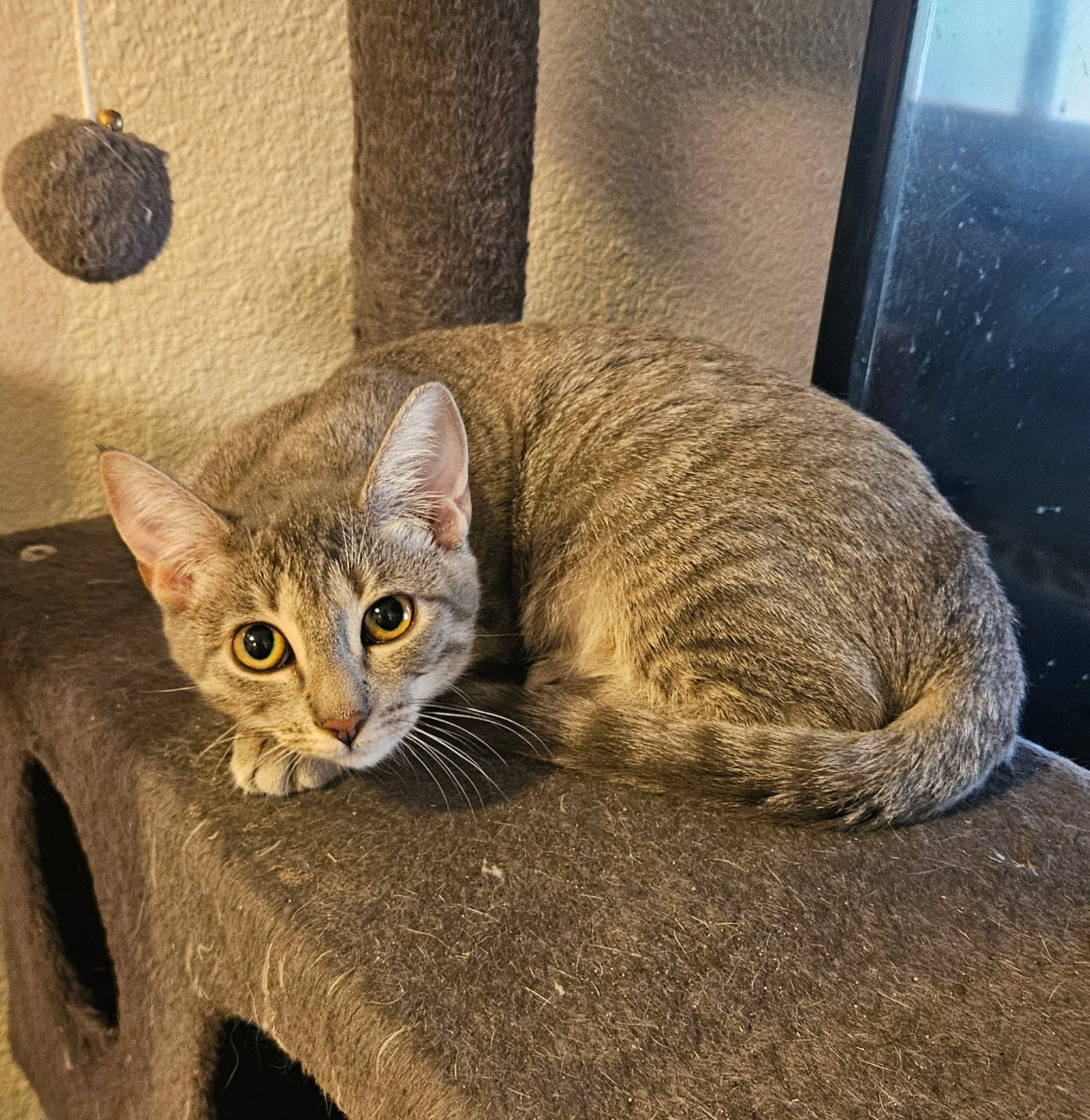 Ella ( Monica ), photo 2