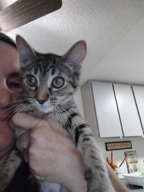 Lily photo 2