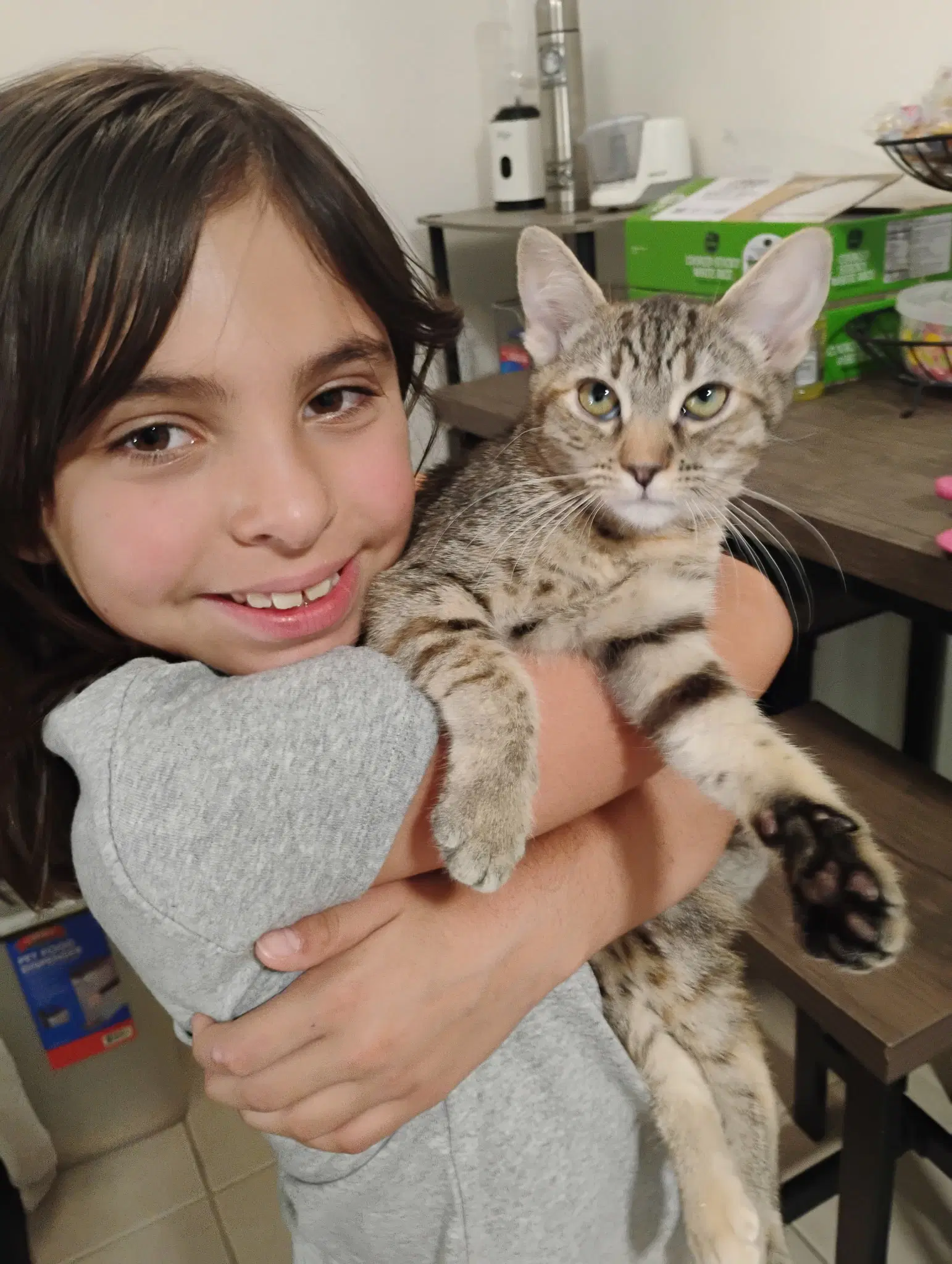Lily  Kat image 3