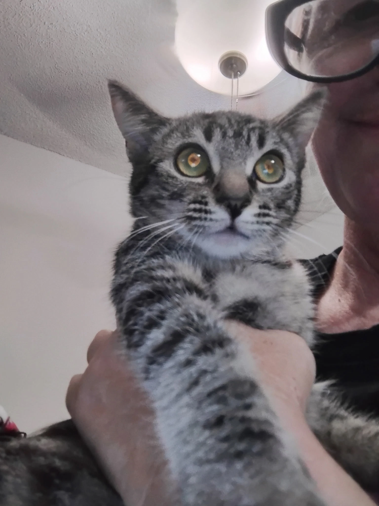Tilly  Kat