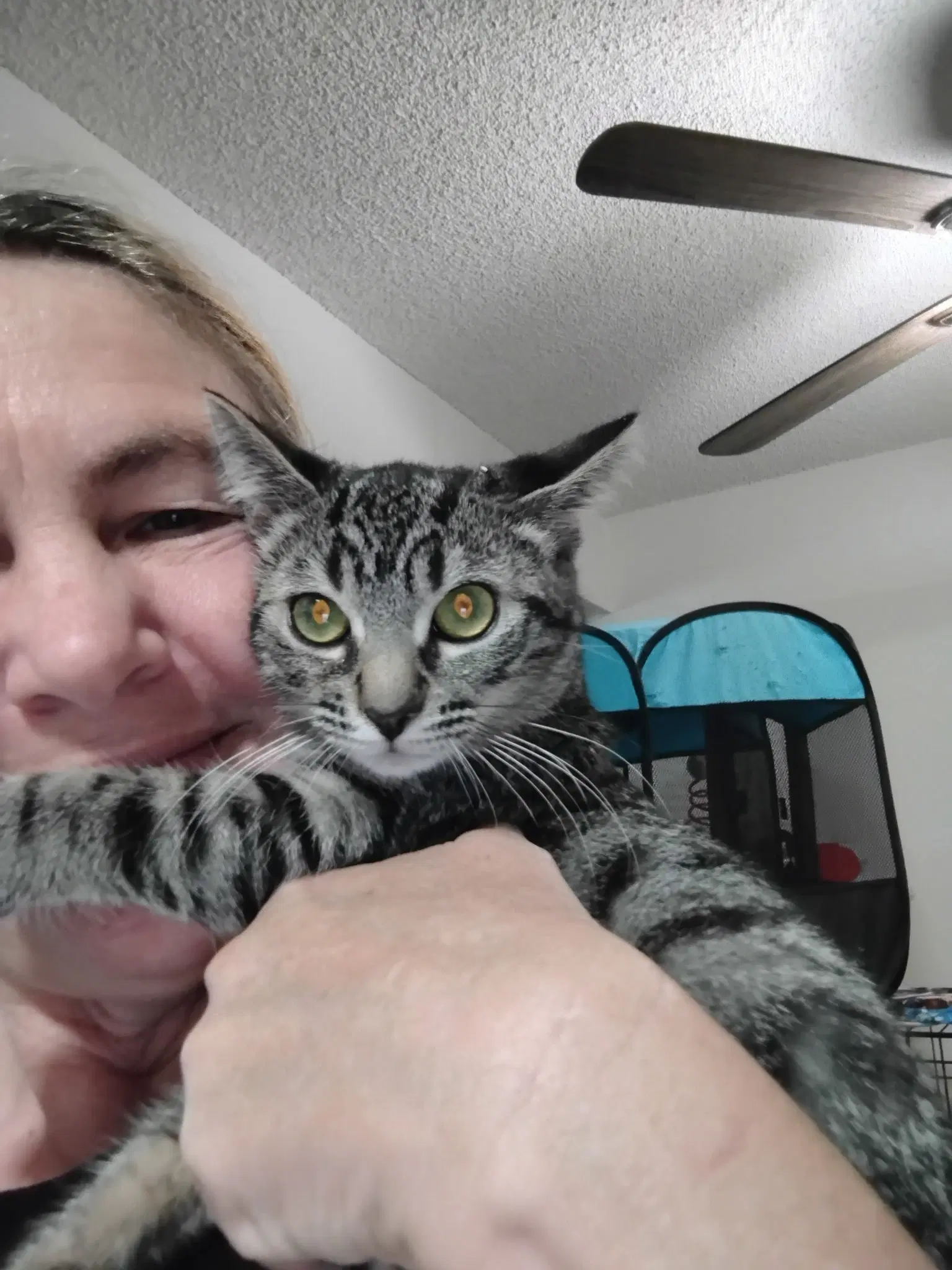 Tilly  Kat image 2