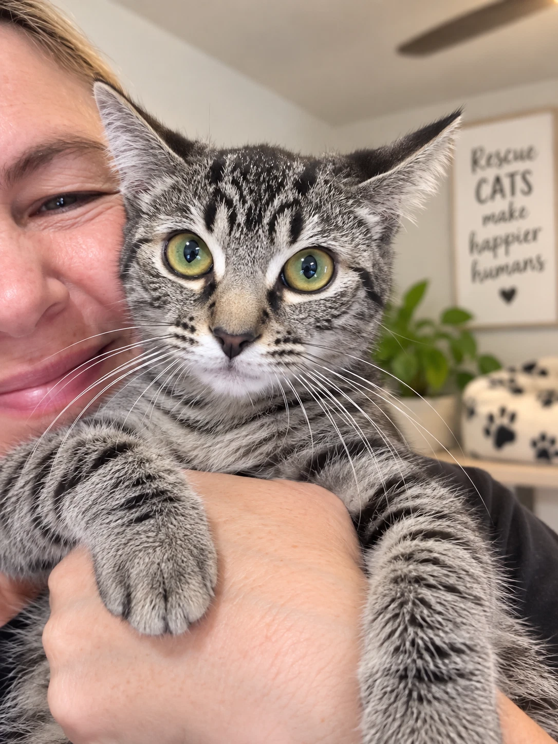 Tilly  Kat