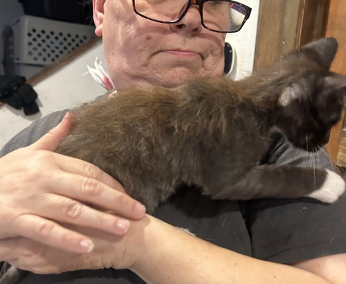 Scooter Napa photo 2
