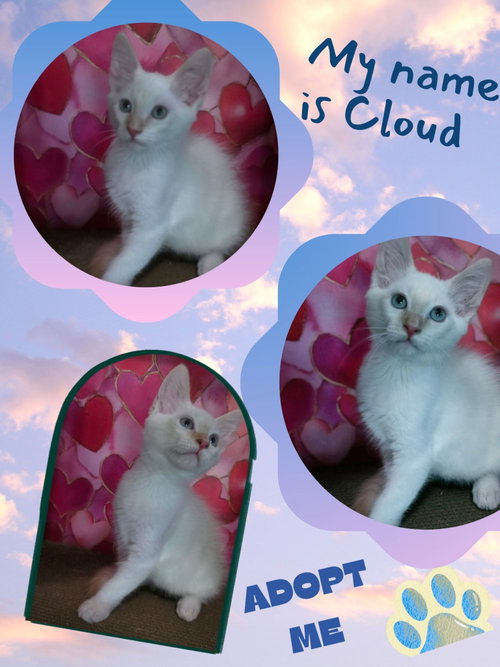 Cloud photo 4