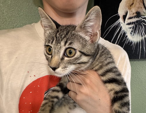 Marvin