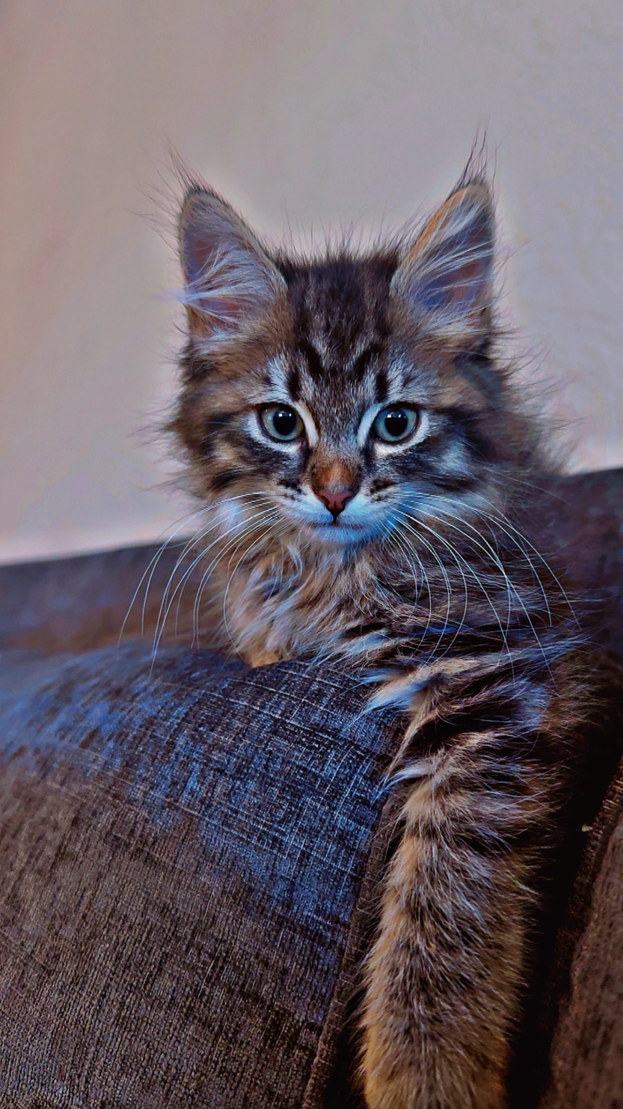 Minnie  Miranda