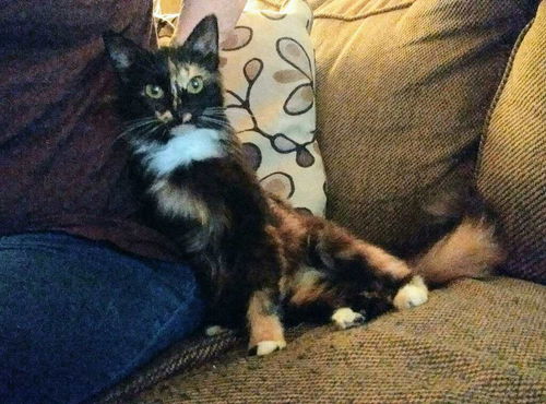 Miss Ellie