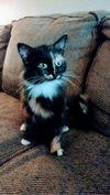 Miss Ellie