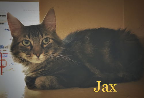 Jax