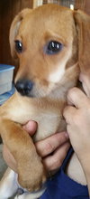 Buster