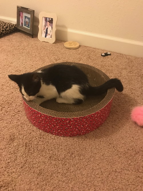 Burrito