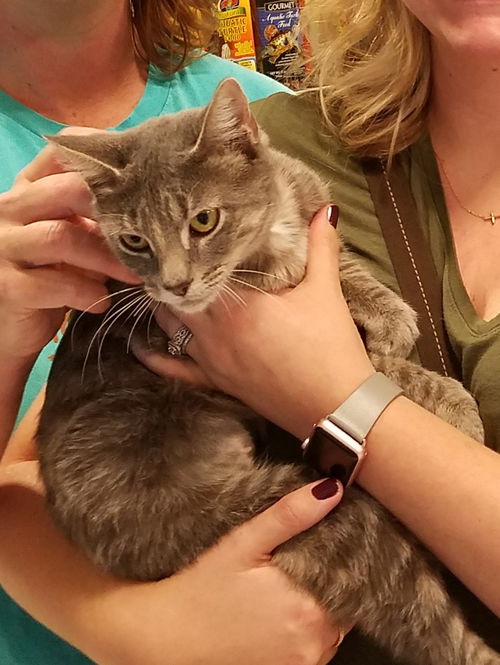 Mitzi
