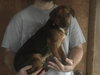 Axle