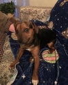 Axle