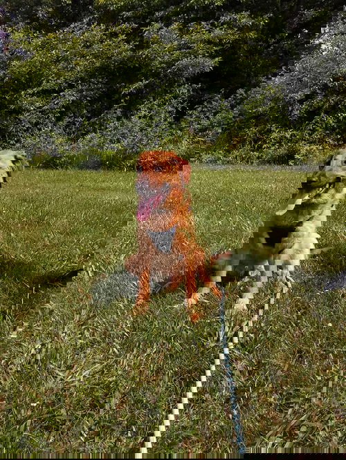 Max