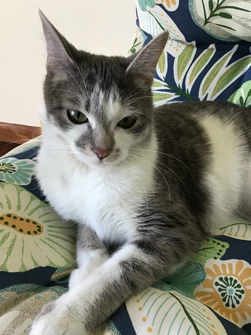 Skye