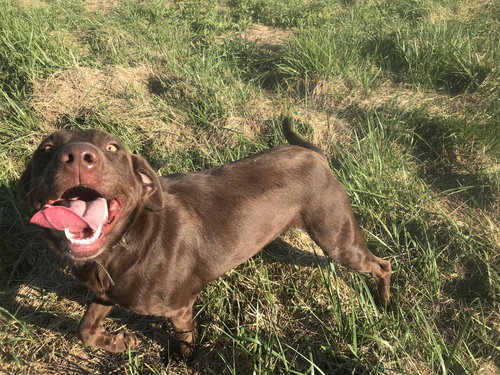 Bonnie