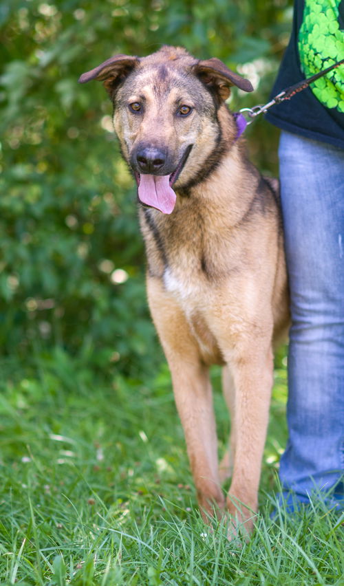 Axel