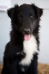 border