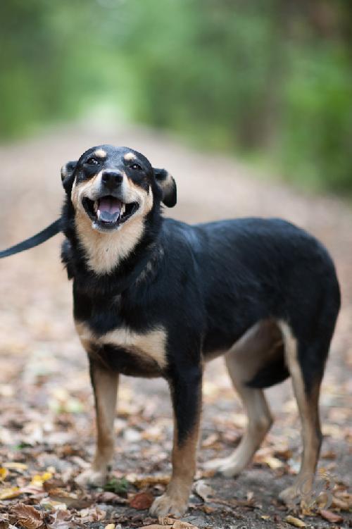 Bonnie
