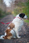 Buster