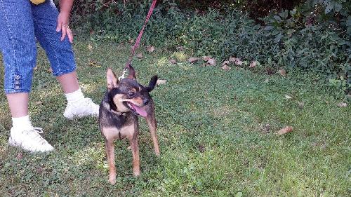 Buster-gpa