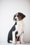 Shiloh