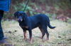 Romeo