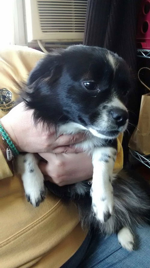 Mimi