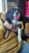 Mimi