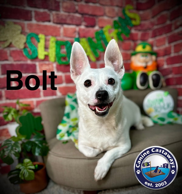 Bolt
