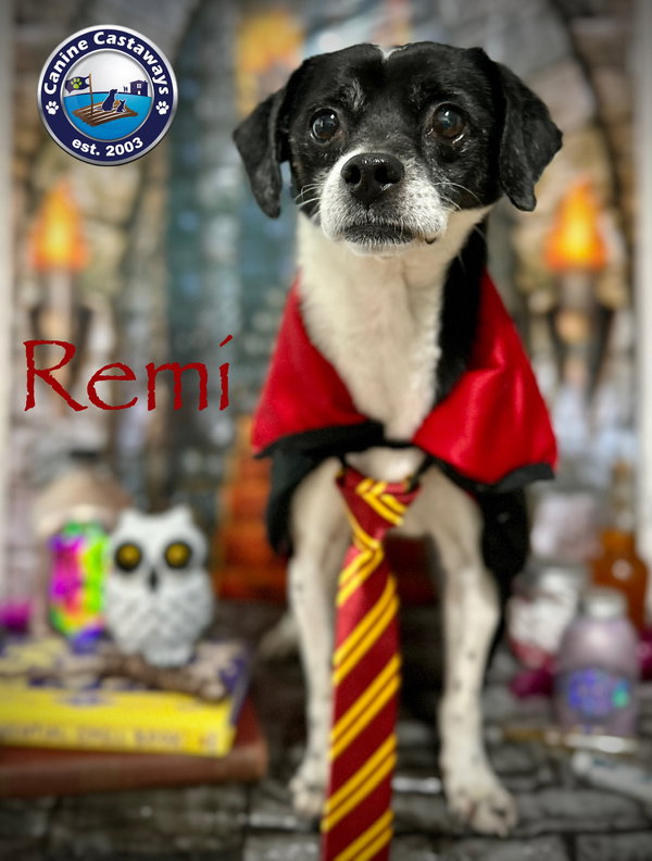 Remi