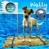 adoptable Dog in arcadia, CA named Wally