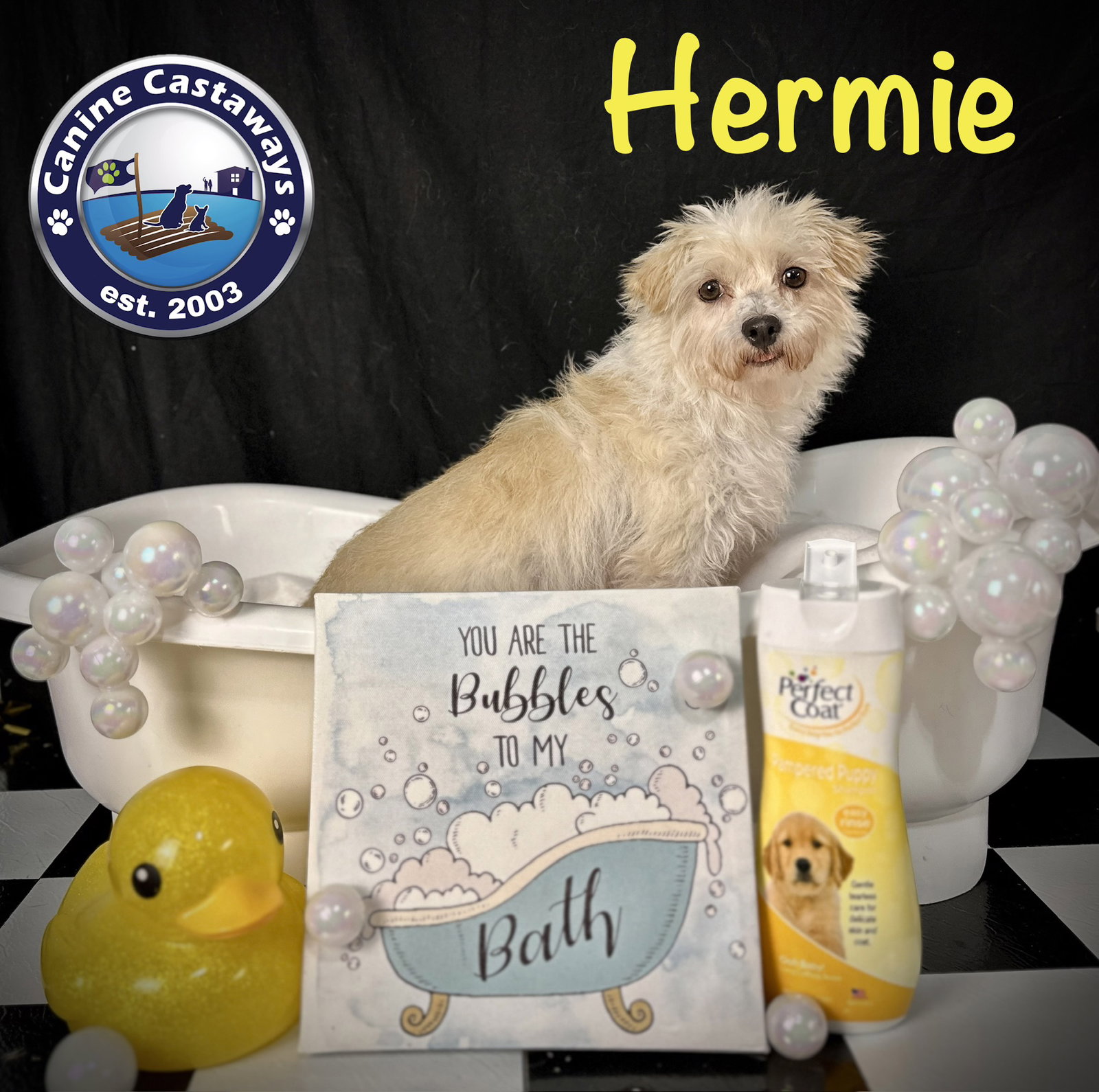 Hermie