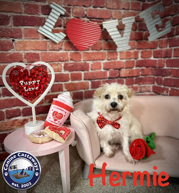 Hermie