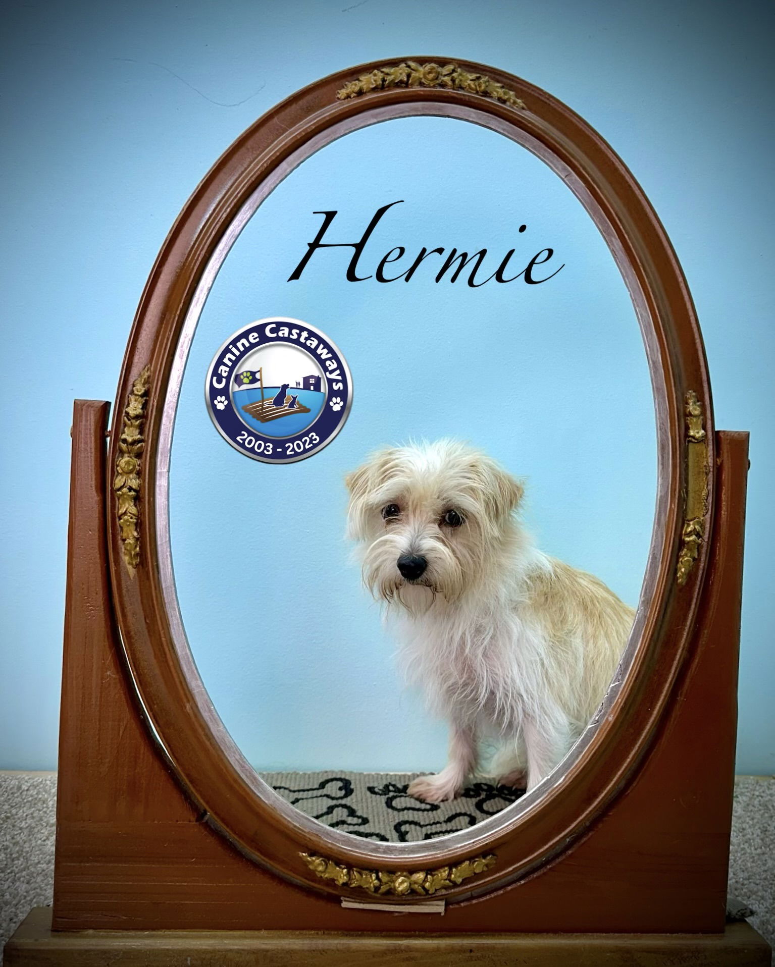 adoptable Dog in Arcadia, FL named Hermie