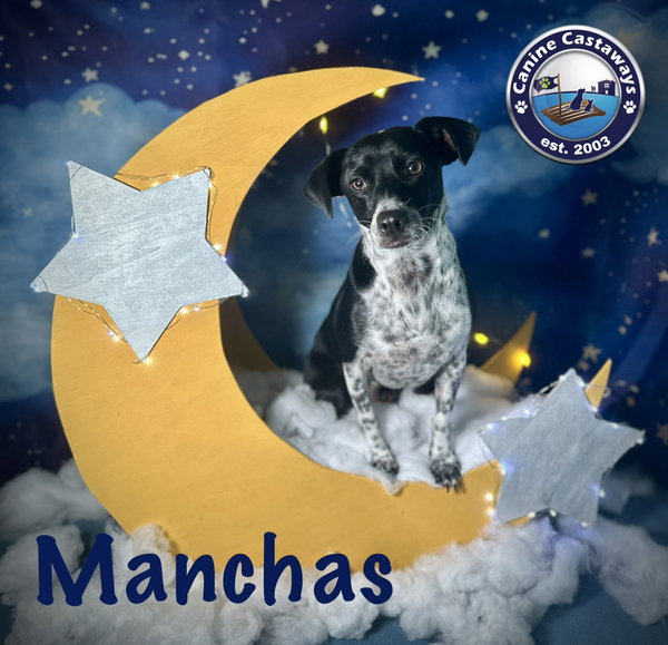 Manchas