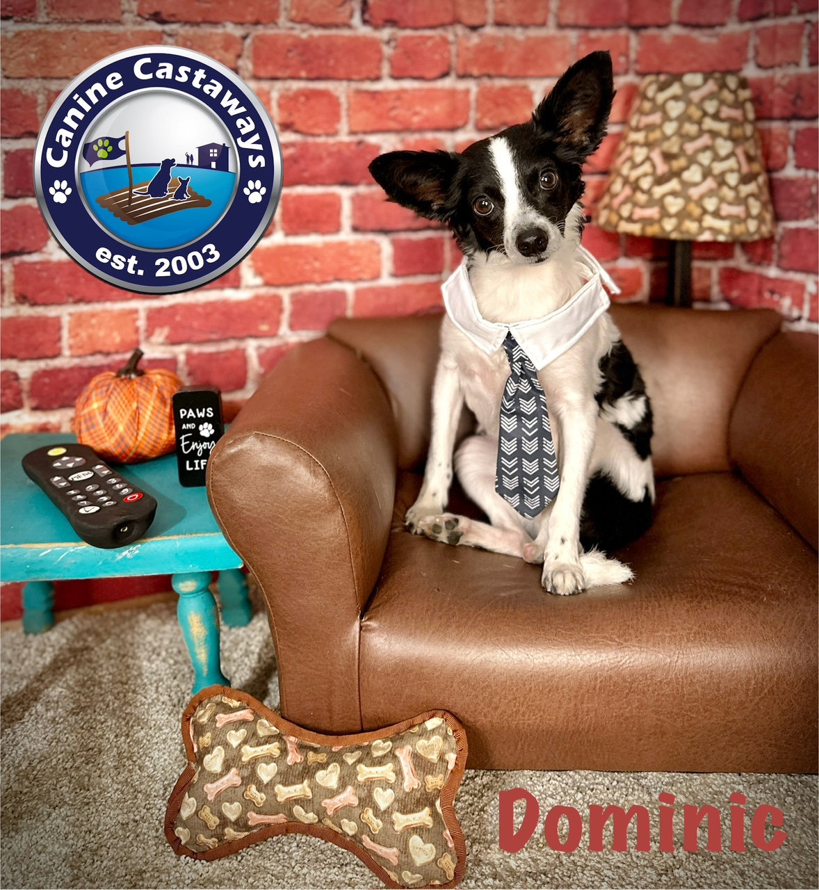 Dominic