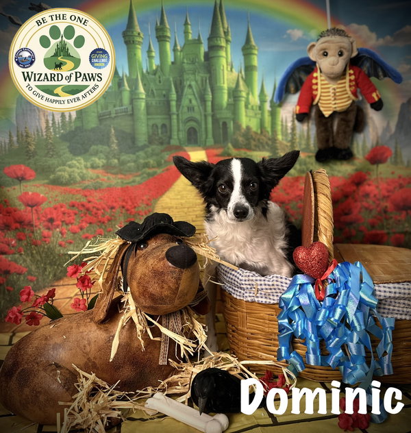 Dominic