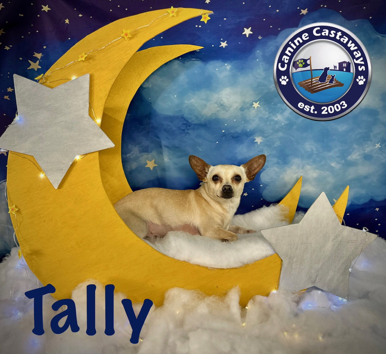 Tally