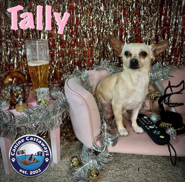 Tally