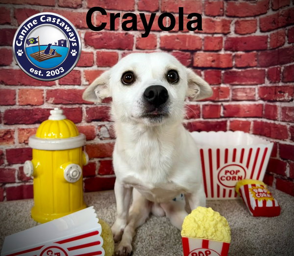 Crayola