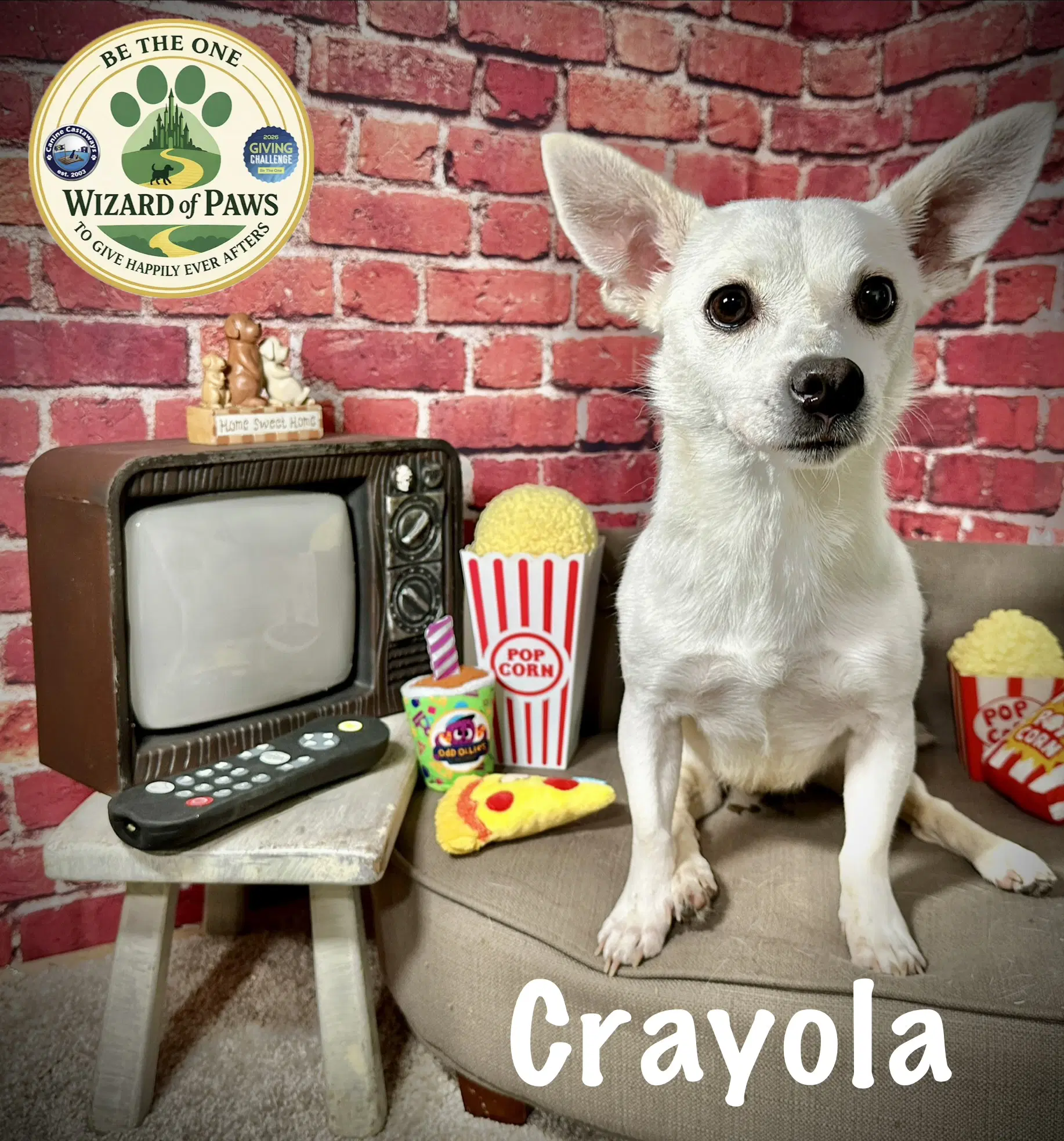 Crayola - Chihuahua