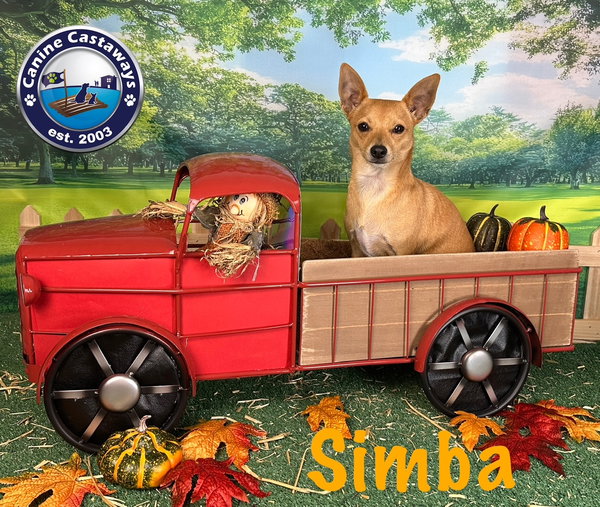 Simba