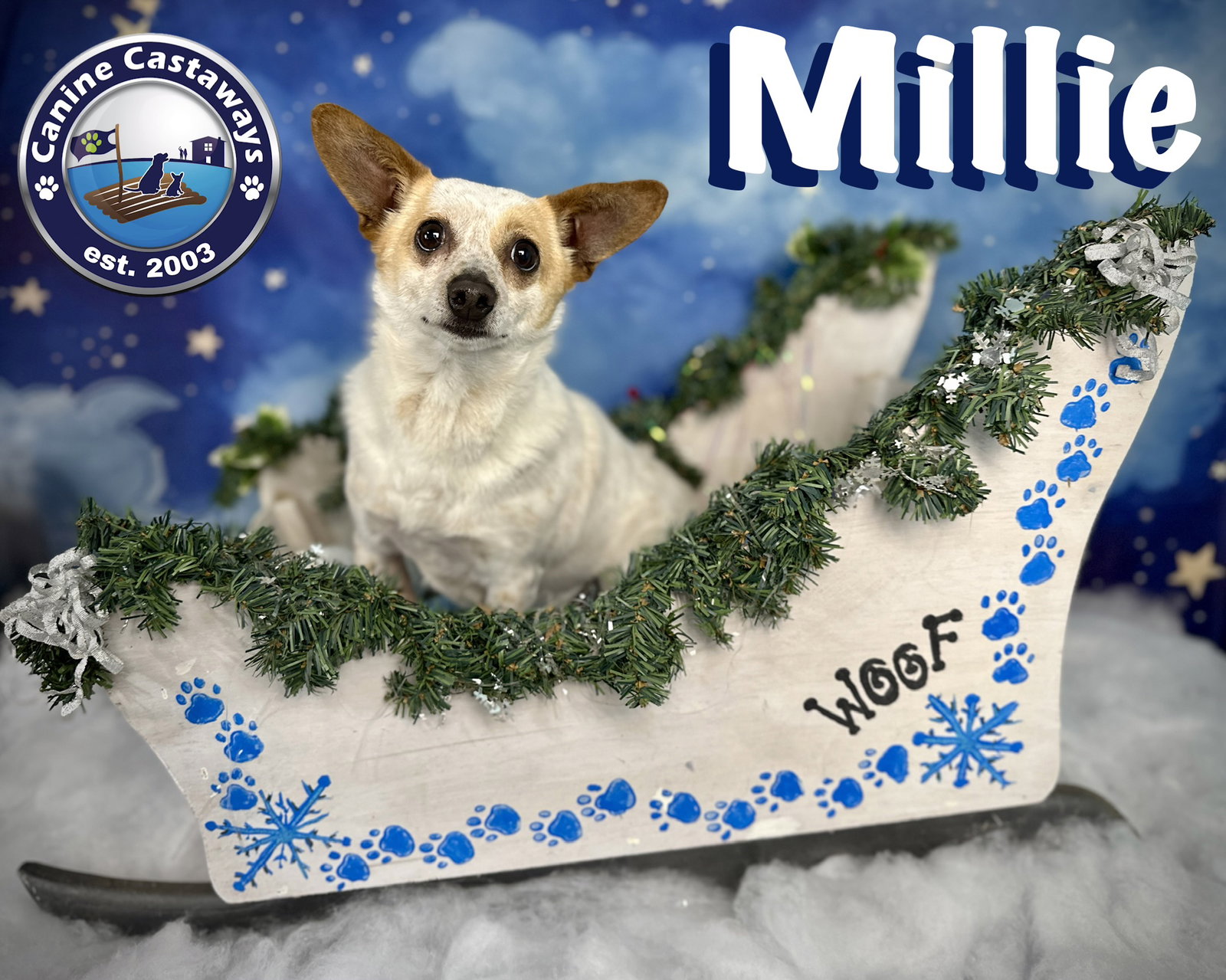 Millie