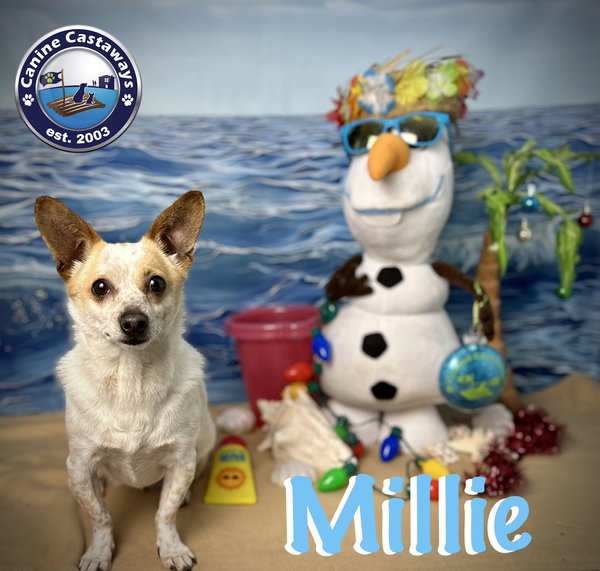 Millie