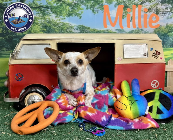 Millie