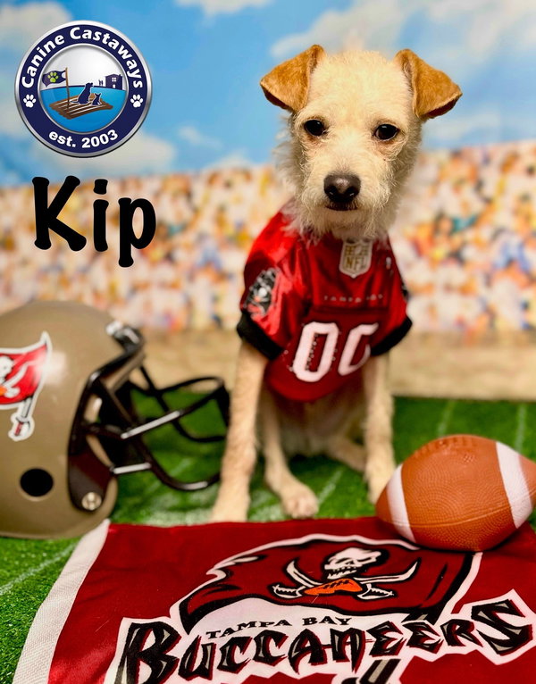 Kip