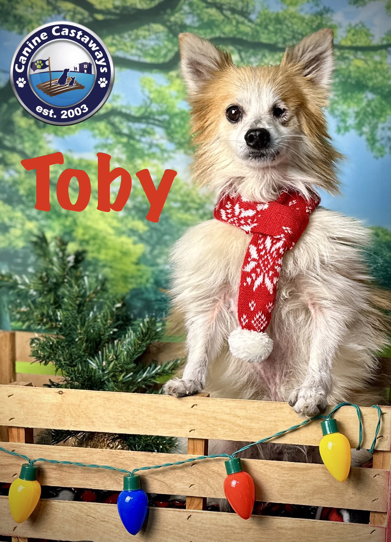 Toby